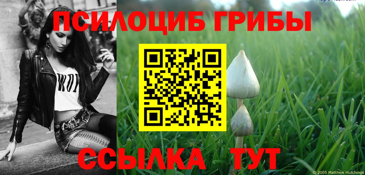 Галлюциногенные грибы MAGIC MUSHROOMS Апатиты