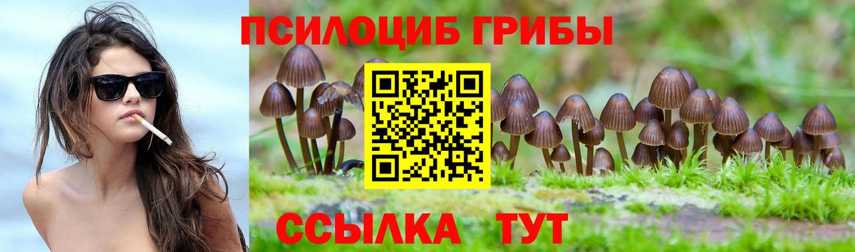 Апатиты  Галлюциногенные грибы Magic Shrooms  Вход с VPN 