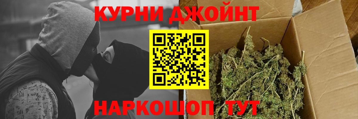 Каннабис индика Апатиты